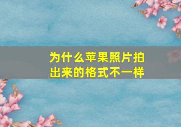 为什么苹果照片拍出来的格式不一样