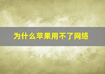 为什么苹果用不了网络