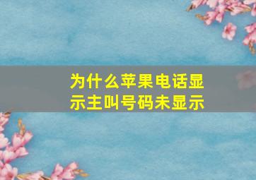 为什么苹果电话显示主叫号码未显示