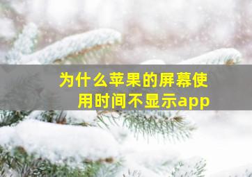 为什么苹果的屏幕使用时间不显示app