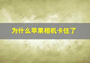 为什么苹果相机卡住了