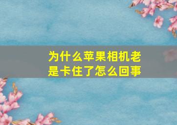 为什么苹果相机老是卡住了怎么回事