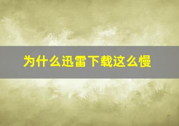 为什么迅雷下载这么慢