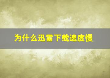 为什么迅雷下载速度慢