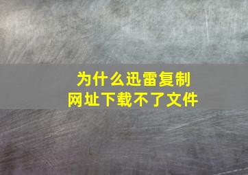 为什么迅雷复制网址下载不了文件