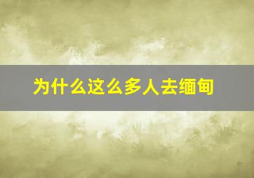 为什么这么多人去缅甸