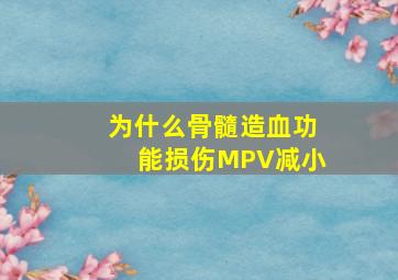 为什么骨髓造血功能损伤MPV减小