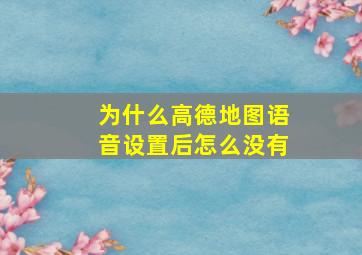 为什么高德地图语音设置后怎么没有