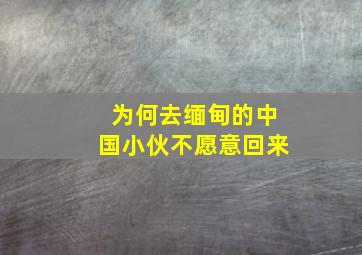 为何去缅甸的中国小伙不愿意回来