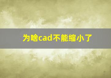 为啥cad不能缩小了