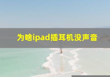 为啥ipad插耳机没声音