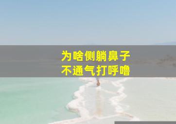 为啥侧躺鼻子不通气打呼噜