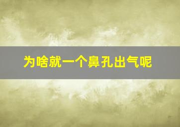 为啥就一个鼻孔出气呢