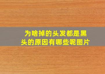 为啥掉的头发都是黑头的原因有哪些呢图片