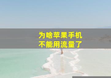 为啥苹果手机不能用流量了