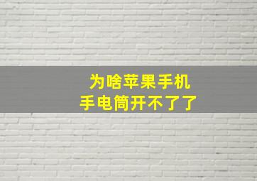 为啥苹果手机手电筒开不了了