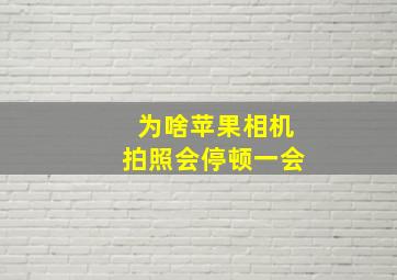 为啥苹果相机拍照会停顿一会