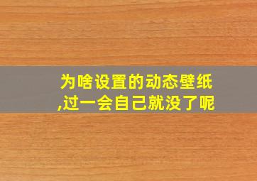 为啥设置的动态壁纸,过一会自己就没了呢