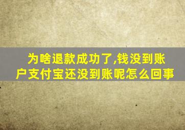 为啥退款成功了,钱没到账户支付宝还没到账呢怎么回事