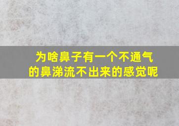 为啥鼻子有一个不通气的鼻涕流不出来的感觉呢