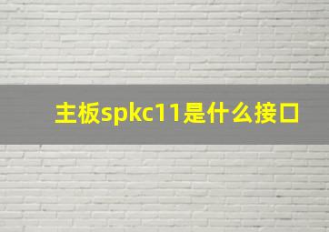 主板spkc11是什么接口