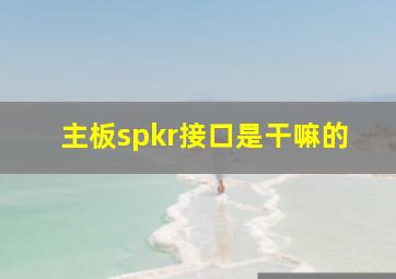 主板spkr接口是干嘛的