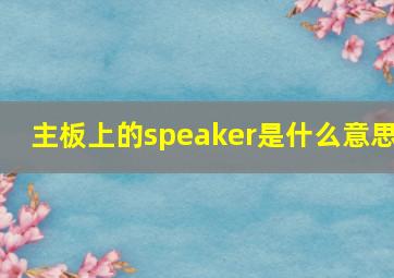 主板上的speaker是什么意思