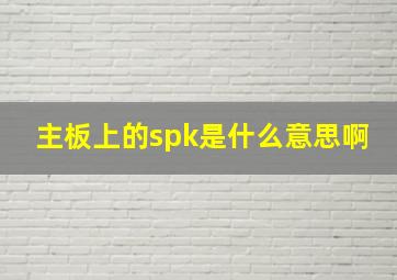 主板上的spk是什么意思啊