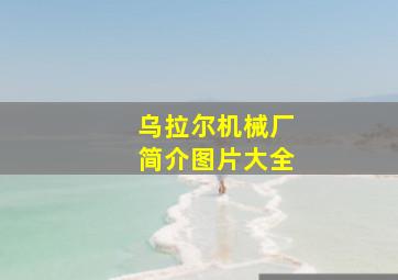 乌拉尔机械厂简介图片大全