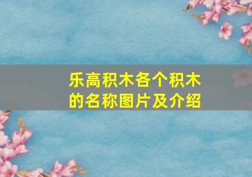 乐高积木各个积木的名称图片及介绍