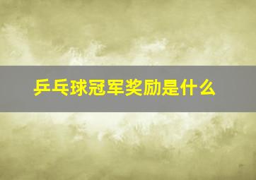 乒乓球冠军奖励是什么