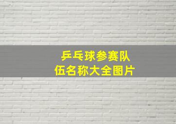 乒乓球参赛队伍名称大全图片