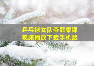 乒乓球女队夺冠集锦视频播放下载手机版