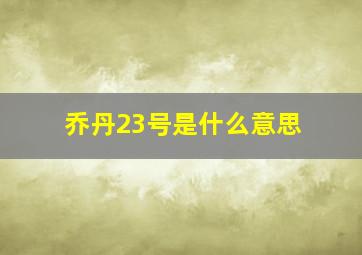 乔丹23号是什么意思