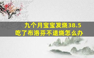 九个月宝宝发烧38.5吃了布洛芬不退烧怎么办