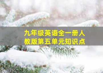 九年级英语全一册人教版第五单元知识点