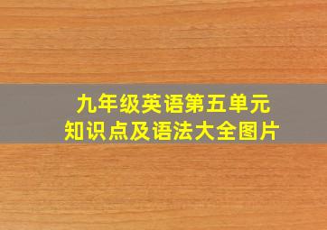 九年级英语第五单元知识点及语法大全图片