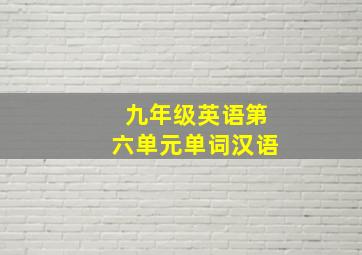 九年级英语第六单元单词汉语