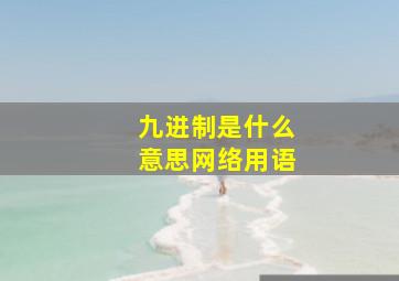 九进制是什么意思网络用语