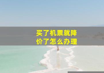 买了机票就降价了怎么办理