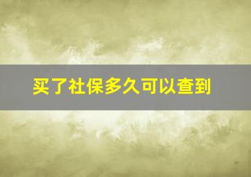 买了社保多久可以查到