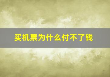 买机票为什么付不了钱