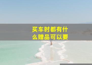 买车时都有什么赠品可以要