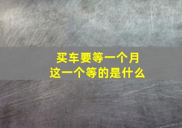 买车要等一个月这一个等的是什么