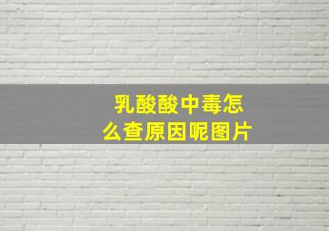 乳酸酸中毒怎么查原因呢图片