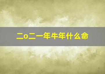 二o二一年牛年什么命