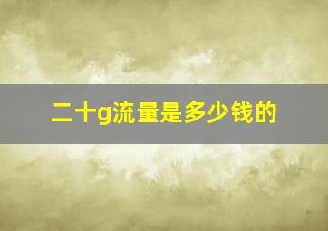 二十g流量是多少钱的