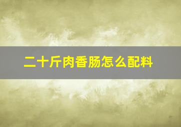 二十斤肉香肠怎么配料