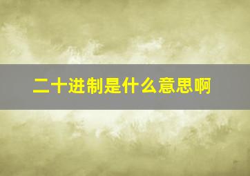 二十进制是什么意思啊