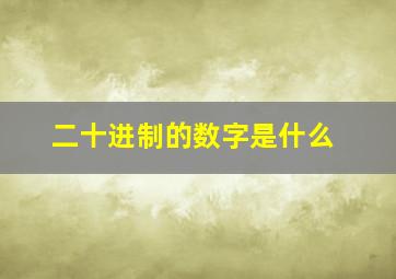 二十进制的数字是什么